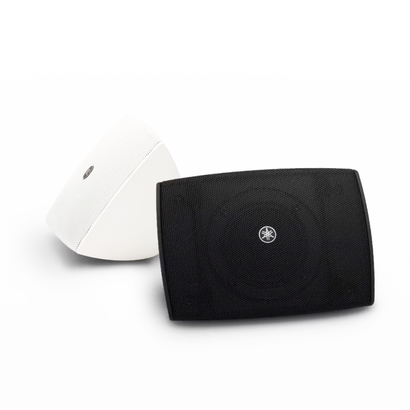 VXS3FW est un haut-parleur en surface compact qui se fond parfaitement dans tout décor intérieur